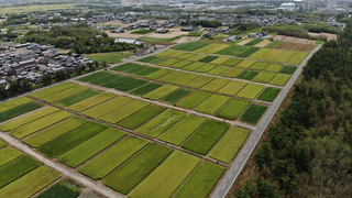 森林に隣接した空撮